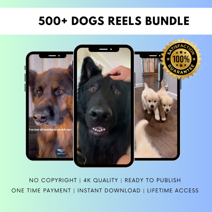 500+ DOGS REELS BUNDLE