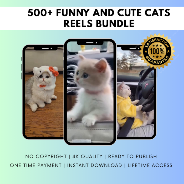 500+ FUNNY AND CUTE CATS REELS BUNDLE